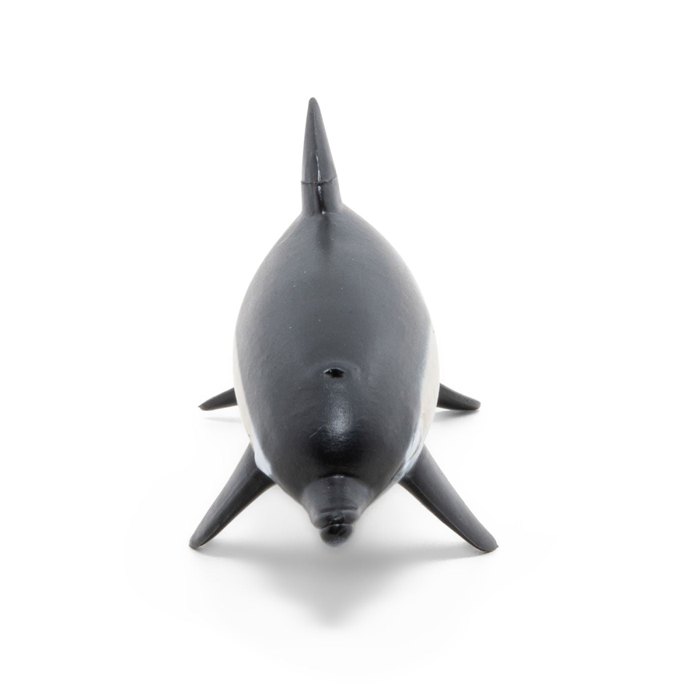 PAPO FIGURINA DELFIN COMUN CU CIOC SCURT - Imagine 3 [ps:c260481e-3168-41e6-bb0c-61ffc3cb9f9e]