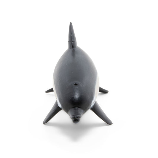 PAPO FIGURINA DELFIN COMUN CU CIOC SCURT - Imagine 3 [ps:c260481e-3168-41e6-bb0c-61ffc3cb9f9e]