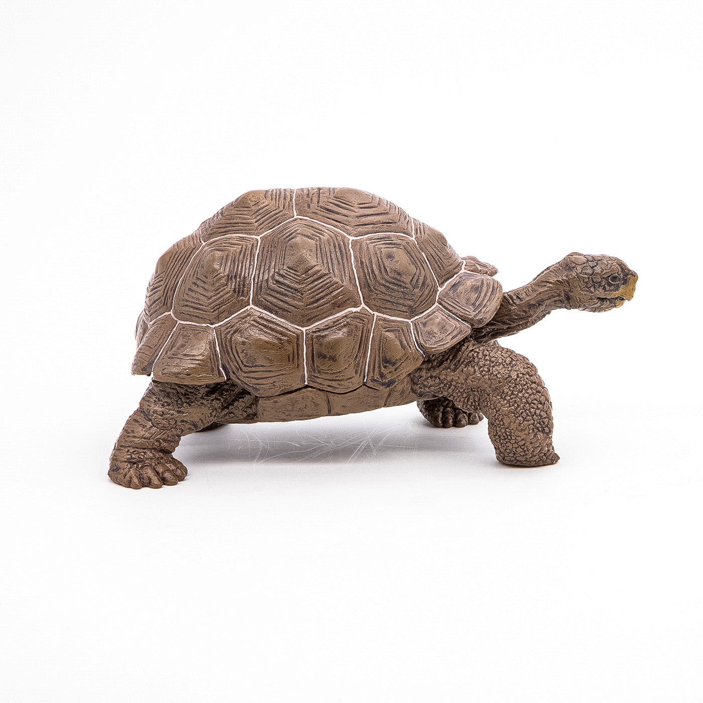 PAPO FIGURINA TESTOASA GALAPAGOS - Imagine 3