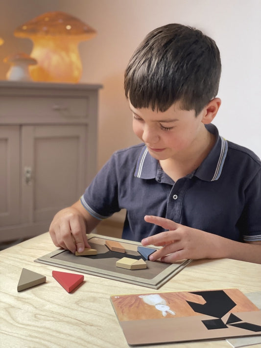 Jocuri magnetice Tangram, Egmont Toys - Imagine 2 [ps:42218f4f-60d7-43f8-b6dc-d6257ef5a292]