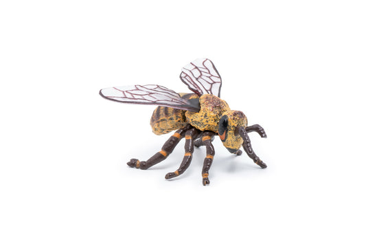 PAPO FIGURINA ALBINA - Imagine 7 [ps:7d9dd5b9-c389-4399-bdc8-d124c0b16b71]
