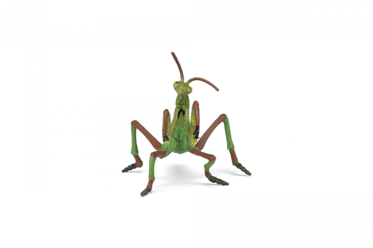 PAPO FIGURINA CALUGARITA - Default Title (3) [ps:a51be01d-fdfa-41d3-9103-732800281959]