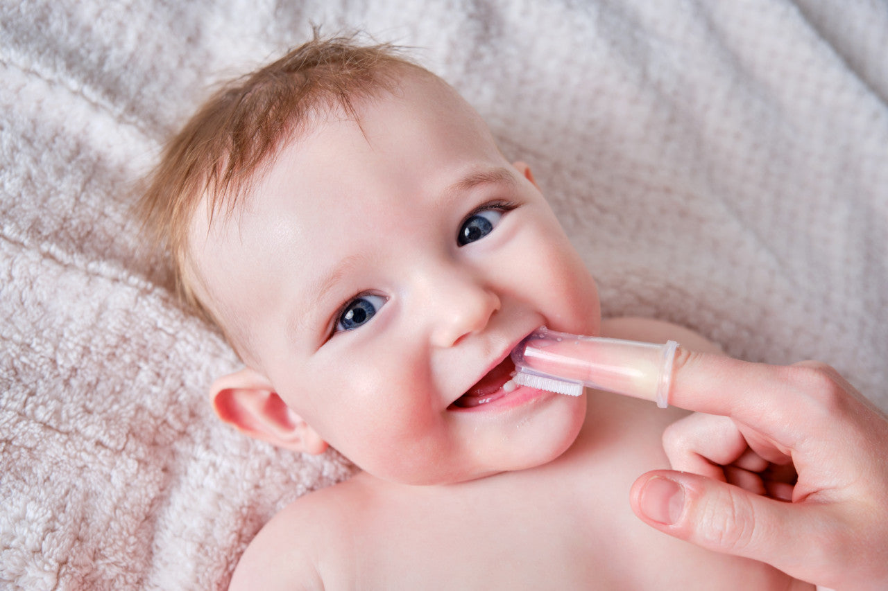 Periuta de dinti tip degetar, BabyJem - Imagine 10 [ps:5342dd51-7ee9-4039-8d72-d6976351411c]