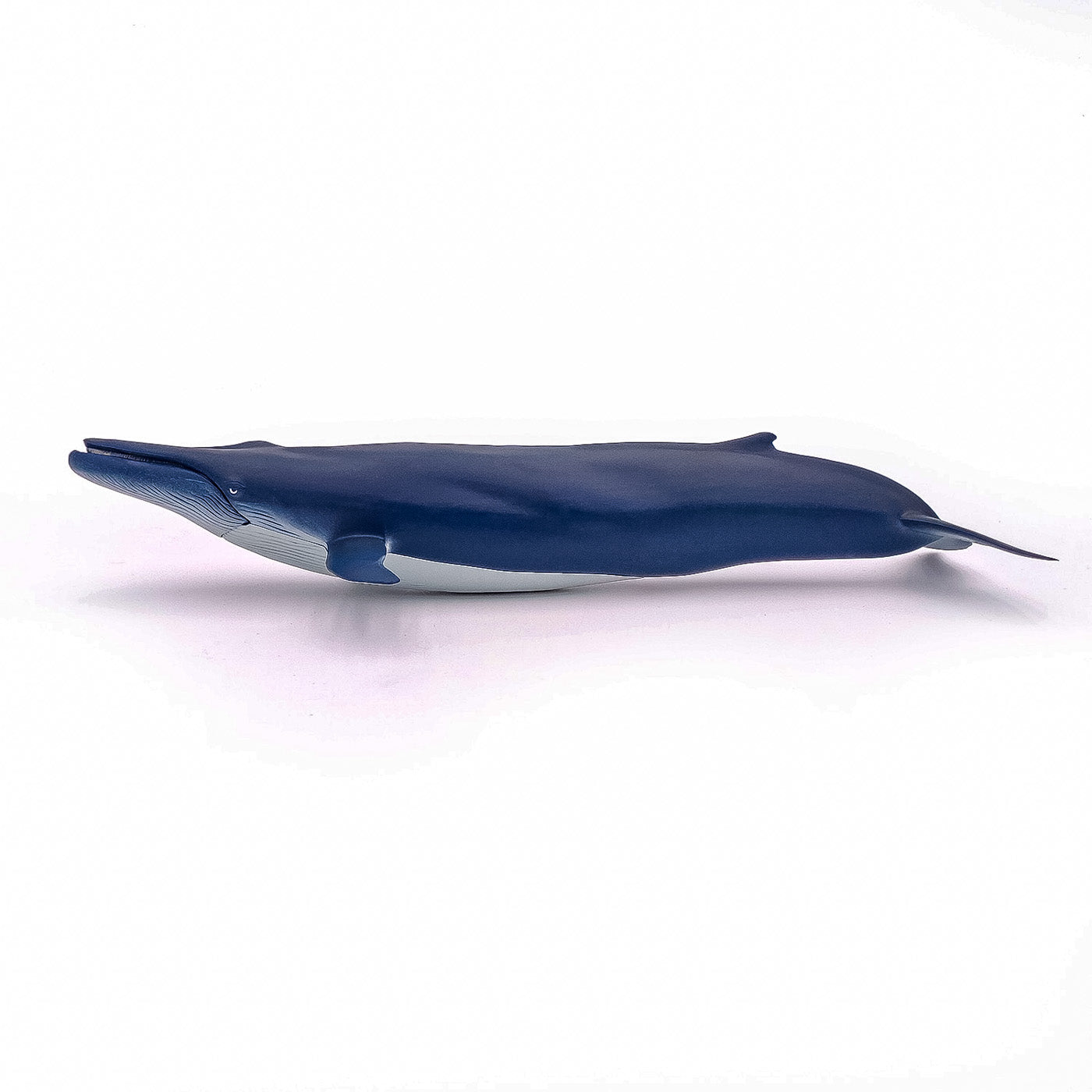 PAPO FIGURINA BALENA ALBASTRA - Imagine 3