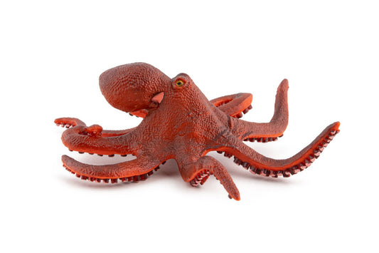 PAPO FIGURINA CARACATITA MICA - Imagine 4 [ps:8184fcf1-a2a8-4f53-9e06-ca91fff7f128]
