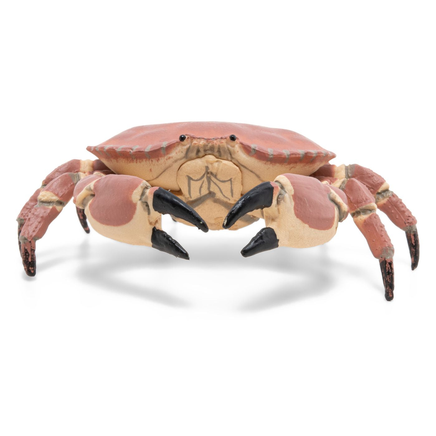PAPO FIGURINA CRAB - Imagine 3 [ps:2b27d3a4-d0b0-4b01-8630-1f1175d026cf]