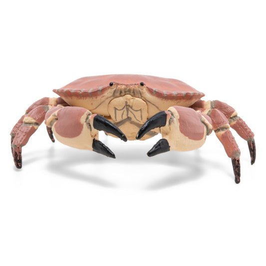 PAPO FIGURINA CRAB - Imagine 3 [ps:2b27d3a4-d0b0-4b01-8630-1f1175d026cf]