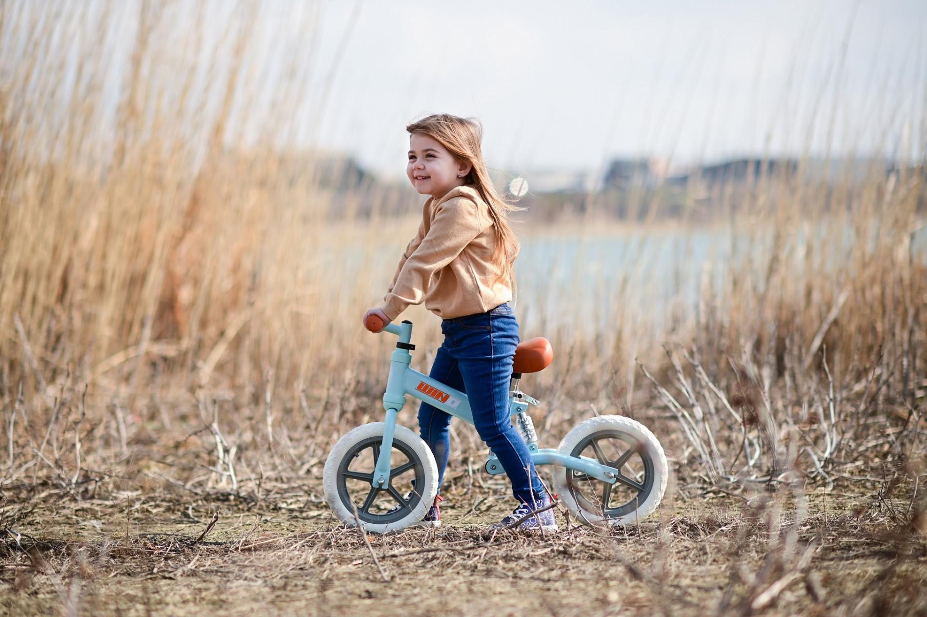 Bicicleta de echilibru Wind, de la 2 ani pana la 5 ani, cadru cu amortizor, roti mari, sa reglabila - Imagine 3 [ps:34b86f5f-23bc-462a-9942-feb14dcdb23b]