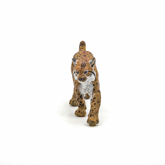 PAPO FIGURINA RAS - Imagine 4 [ps:c254ee26-227f-4286-9f5a-581a3d3a353b]
