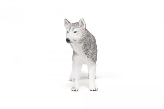 PAPO FIGURINA HUSKY SIBERIAN - Imagine 4 [ps:06c7d944-1577-4a13-a099-48cf51ce0062]