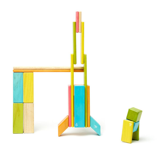 Tegu Tints - Set 24 Piese Lemn Magnetic | Jucării - Default Title (3) [ps:848a55ea-748f-4699-a375-26eb81e59d59]