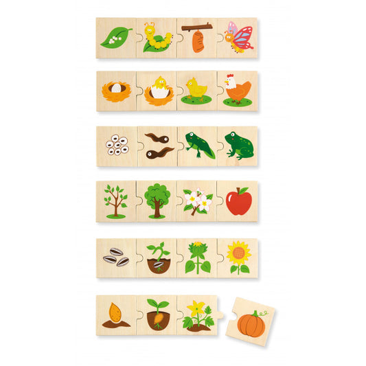 Puzzle sortator - Evolutie, Viga [ps:44c0f072-4ad9-401b-9490-ff469c0a0543]