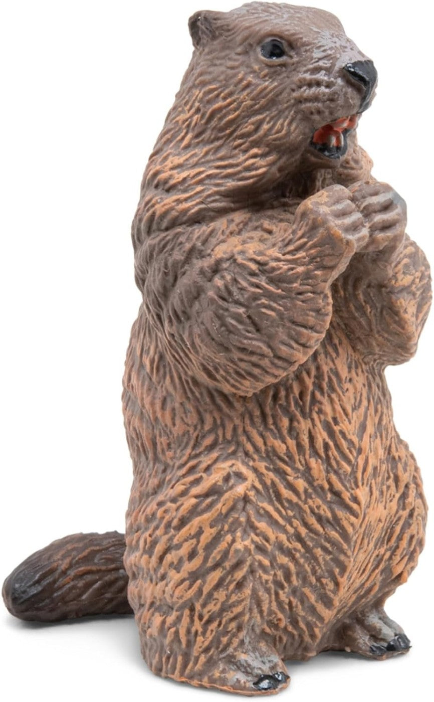 PAPO FIGURINA CASTOR - Imagine 2 [ps:2f4a3360-b20a-4cd7-ab96-5bf670817381]