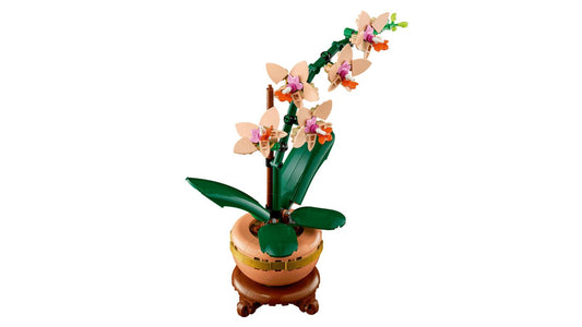 LEGO BOTANICALS MINI ORHIDEE 10343 - Imagine 7 [ps:da21a9f6-613b-4944-aefd-eef3c13342d4]