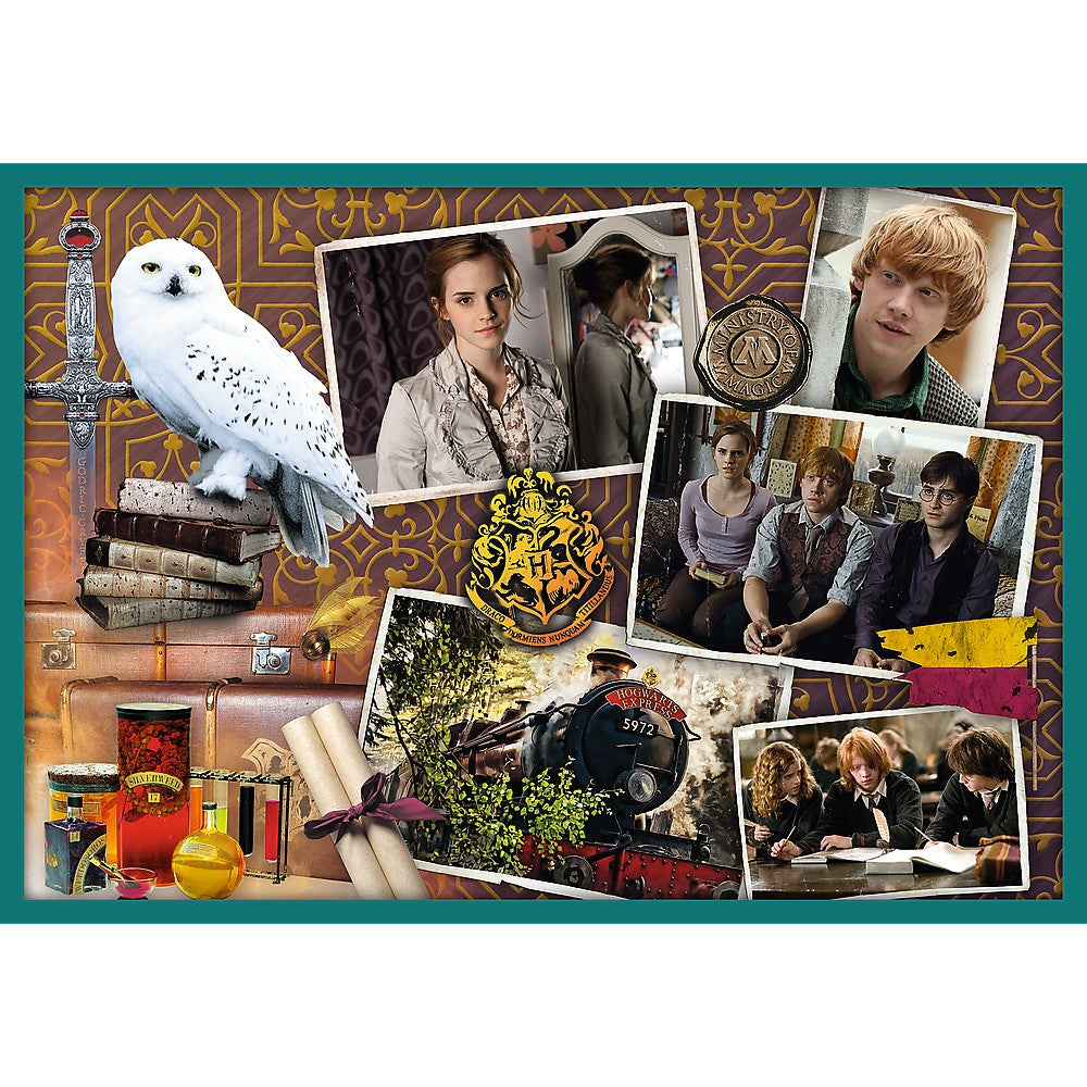 PUZZLE TREFL 10IN1 HARRY POTTER IN LUMEA LUI HARRY POTTER - Imagine 2 [ps:fedcabeb-448c-41d3-ba77-55b2796b34df]