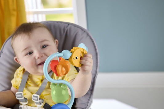 FISHER PRICE JUCARIE SENZORIALA CU VENTUZA Mattel - Default Title (3) [ps:91805144-ec18-4e7a-bbe0-06a52c5c8aeb]