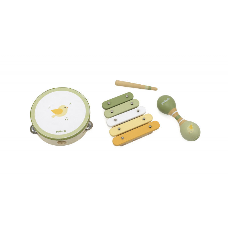 Set de jucarii muzicale Pasari, PolarB Viga [ps:f8013561-b7c5-4e57-aebe-05abee47531c]