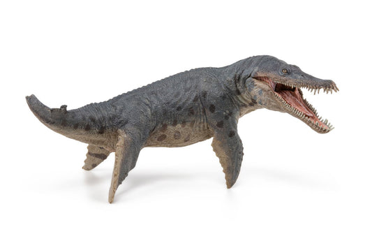 PAPO FIGURINA KRONOSAURUS - Imagine 4 [ps:d09c00ac-d8e8-4d71-9540-97aa68dd2e8d]