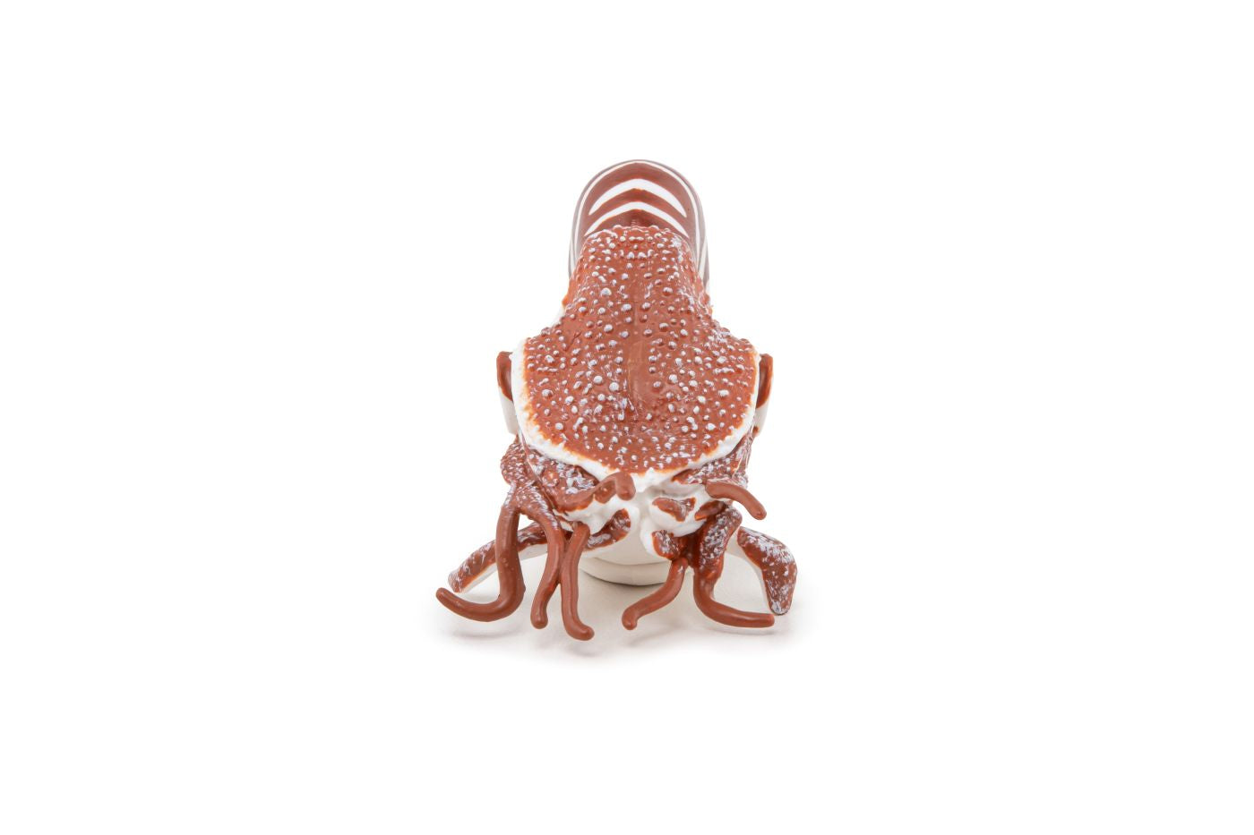 PAPO FIGURINA NAUTILUS - Imagine 3 [ps:94c6221e-967b-47ea-a58e-cb882ab8b4c0]