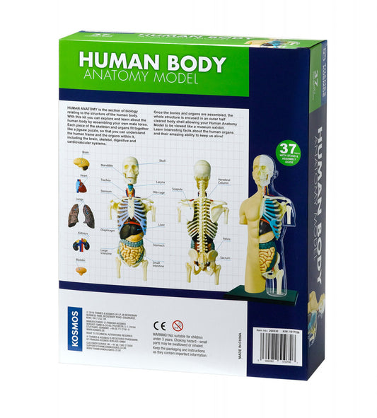 Kit STEM Anatomia corpului uman, Thames & Kosmos - Imagine 4 [ps:7d1f59c0-6be6-4ac7-8525-36d6f03f99d2]