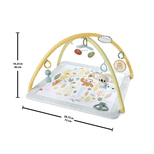 FISHER PRICE SALTELUTA DE GIMNASTICA PENTRU NOU NASCUTI - Imagine 2 [ps:344616e8-3c3e-4d65-94af-b80f2c781370]