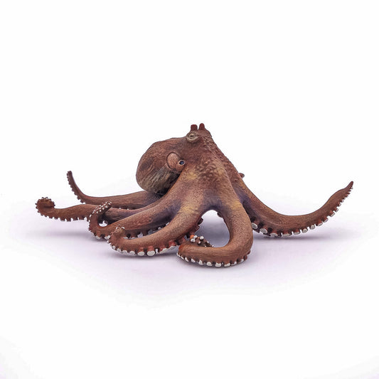 PAPO FIGURINA CARACATITA - Imagine 3 [ps:a0081bb9-e866-405e-a994-30d8073062c7]