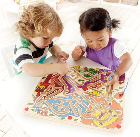 HAPE LABIRINT MAGNETIC ZOO'M - DISTRACTIE LA DUBLU - Imagine 4 [ps:3855e975-bbd1-44cd-a0e1-2c5f2a992628]