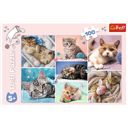 PUZZLE TREFL 100 IN LUMEA PISICILOR - Imagine 3 [ps:18824810-1f32-400c-a496-b4bb76ef9390]