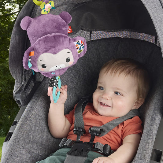 FISHER PRICE JUCARIE DE AGATAT MAIMUTICA MOV MUZICALA Mattel - Imagine 5 [ps:602f2060-ce83-4a26-a317-083814c681e0]