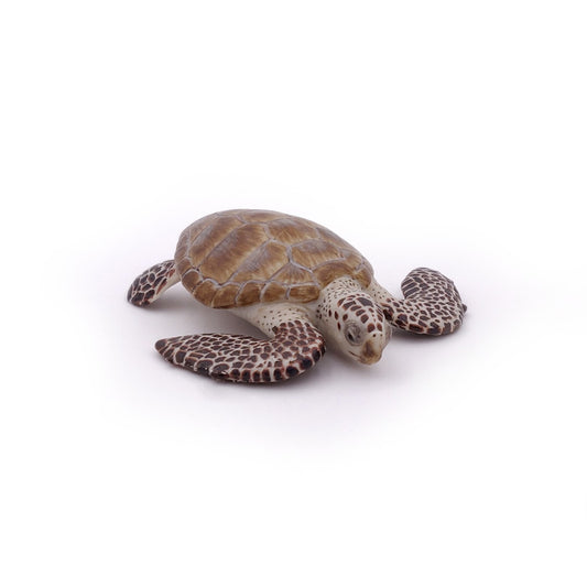 PAPO FIGURINA BROASCA TESTOASA DE MARE - Imagine 5 [ps:26c8a737-a5bd-467a-a31b-099319feba2a]