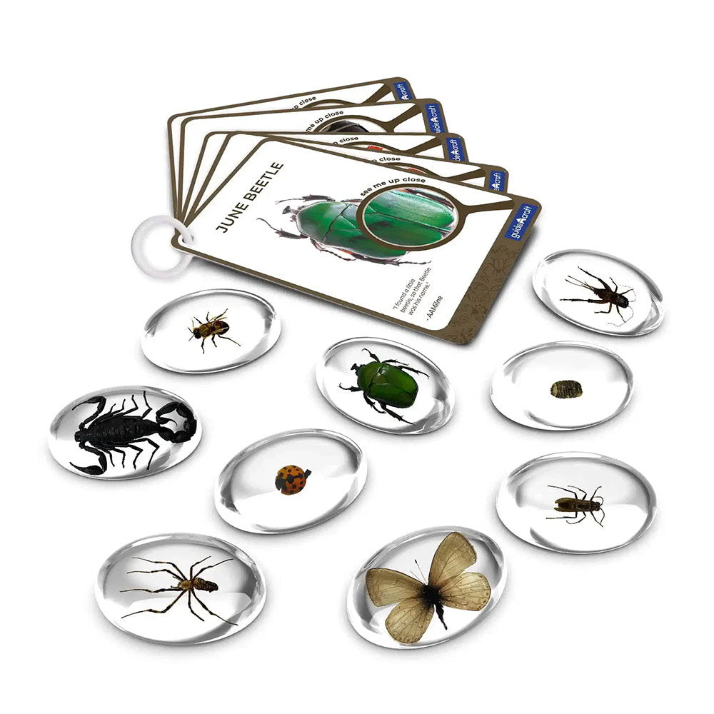 Specimen Stones Pietre cu Insecte Guidecraft | Jucării - Default Title (3) [ps:3574808f-b5d4-4d11-a786-676533866cf1]