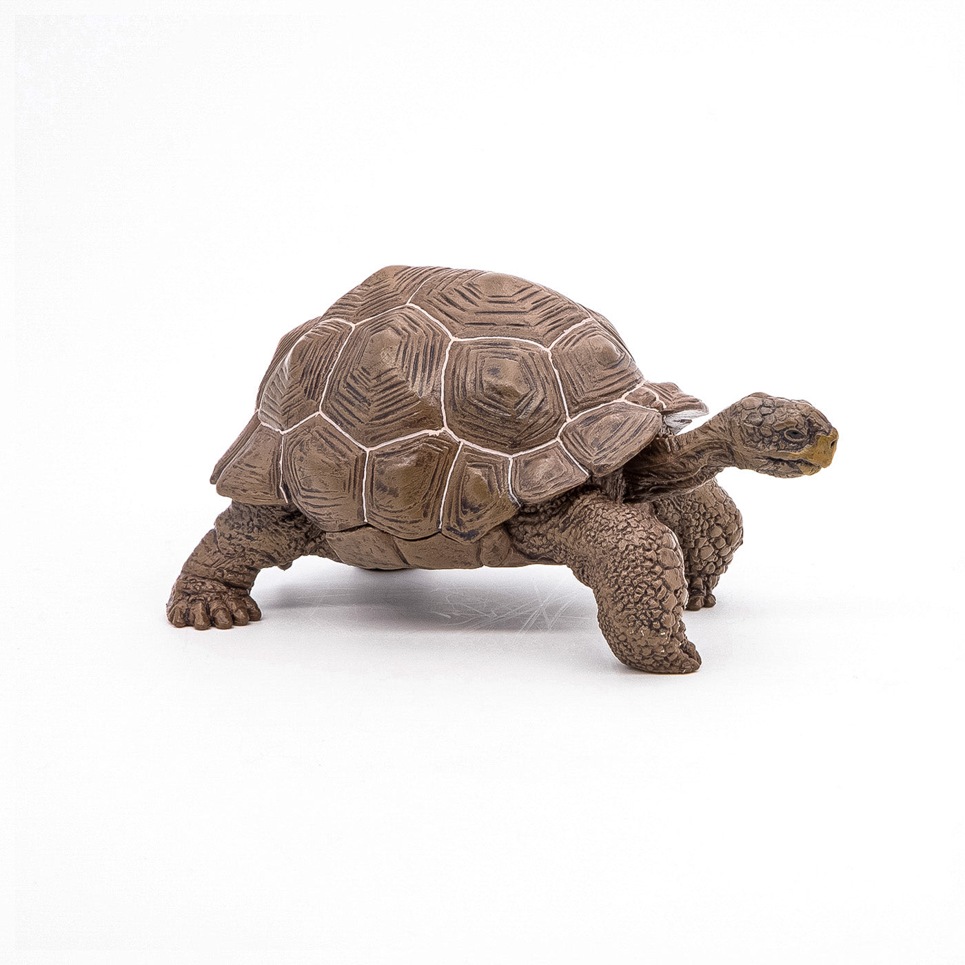 PAPO FIGURINA TESTOASA GALAPAGOS - Imagine 4