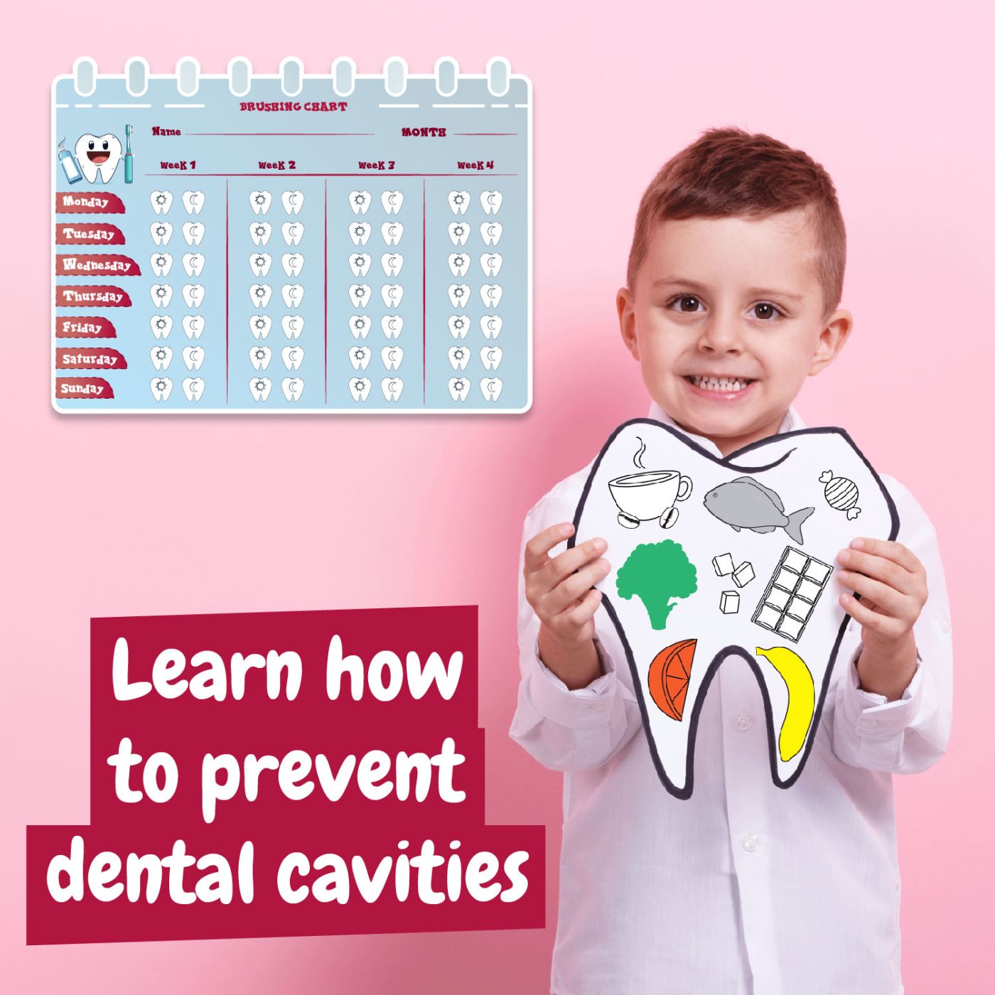 SET EDUCATIONAL LA DENTIST VIVA TOYS - Imagine 3 [ps:7775f8df-511f-4c93-8f99-ddf667234879]