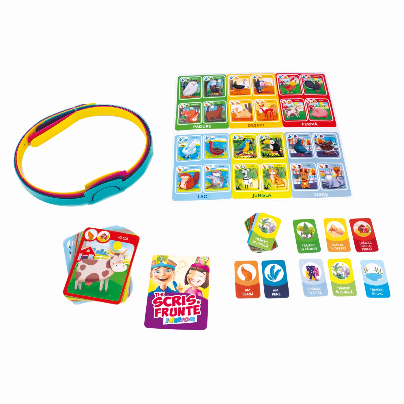 JOC DE SOCIETATE TI-E SCRIS IN FRUNTE JUNIOR AS - Imagine 2 [ps:48d57ac2-98a0-453b-9ff2-9bd69f1c2cf7]