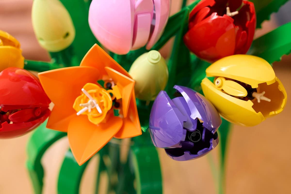 LEGO BOTANICALS BUCHET DE LALELE 11501 - Imagine 7 [ps:6d01177c-4038-4f7b-ae10-2d3216b8202e]