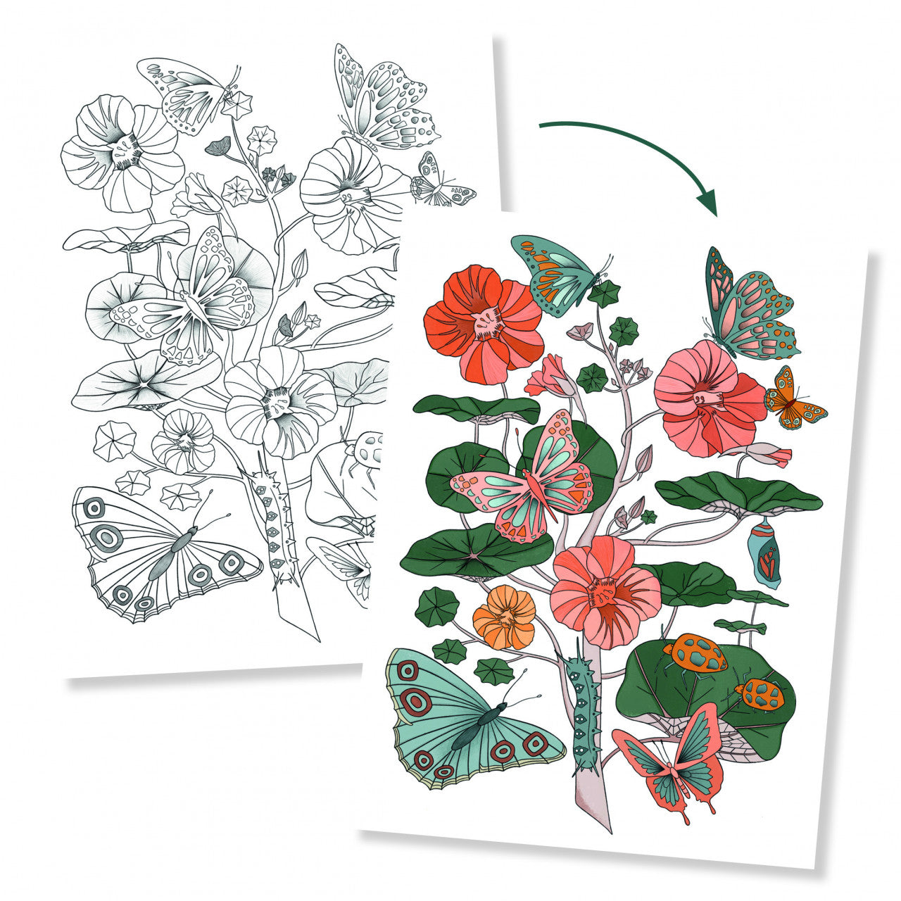 Mapa cu 3 postere de colorat Natura, Djeco - Imagine 4 [ps:ab5d6000-cc6f-4876-81f0-7515cecfe23a]