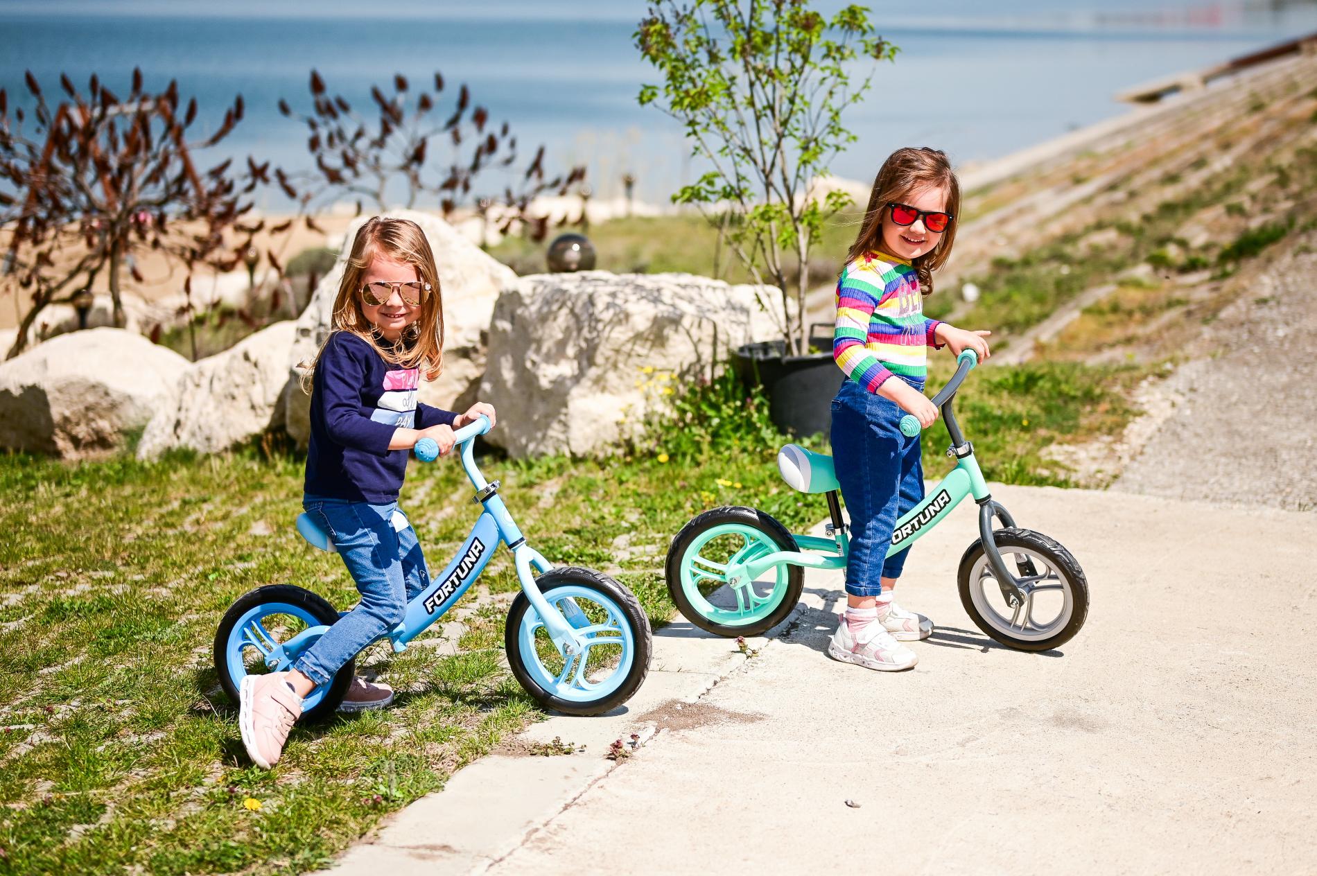 Bicicleta de echilibru, Fortuna, 2-5 Ani - Imagine 4 [ps:a4f273f2-bc8b-4032-a73a-02b9b1653488]