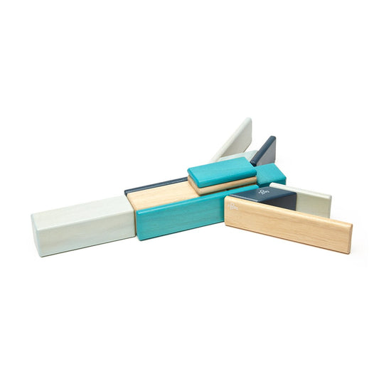 Tegu Blues - Set 14 Piese Lemn Magnetic | Jucărie - Default Title (4) [ps:0b988c53-0fc4-48a5-a32e-4570c0b6fa24]