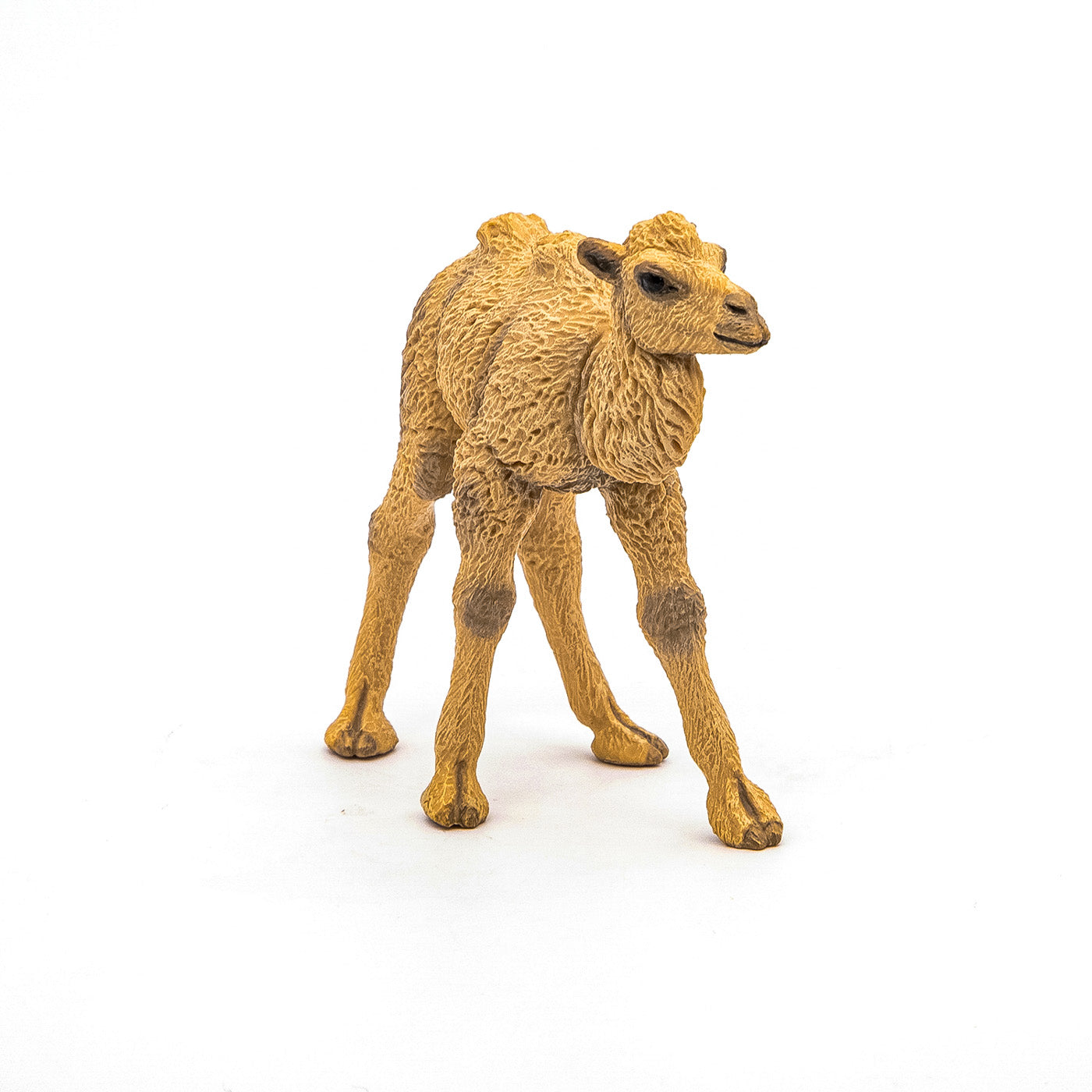 PAPO FIGURINA PUI CAMILA - Imagine 4 [ps:4a298f94-caf1-4fe2-ae39-54570760eeee]