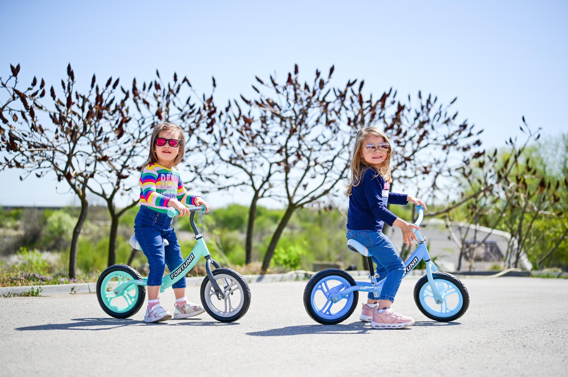 Bicicleta de echilibru, Fortuna, 2-5 Ani - Imagine 4 [ps:8d0d1b07-aae6-4ad5-8287-8e6330118ece]
