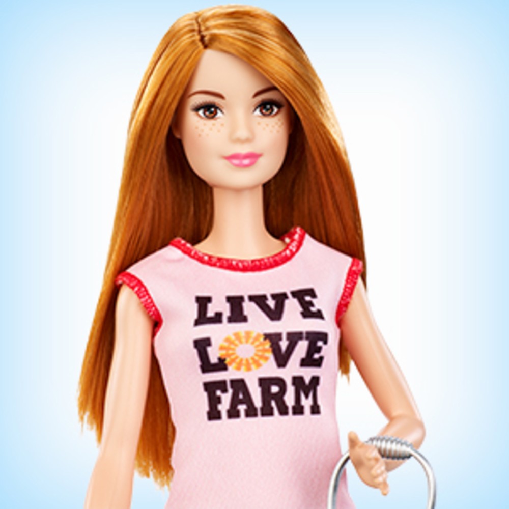 BARBIE CARIERE SET MOBILIER CU PAPUSA APICULTOR Mattel - La Ferma (4) [ps:4be7f575-98c7-4baf-893a-833e7f11a049]