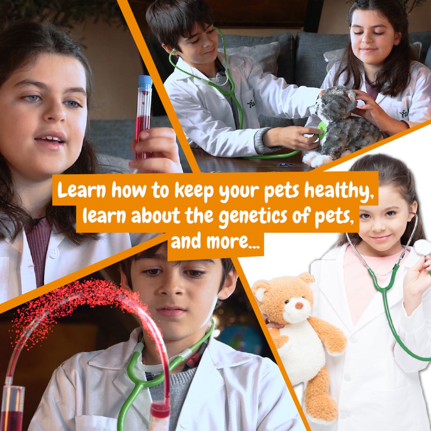 PRIMUL MEU KIT DE VETERINAR VIVA TOYS - Imagine 4 [ps:c5e99e74-8526-478b-99fb-9e49749d1c9b]