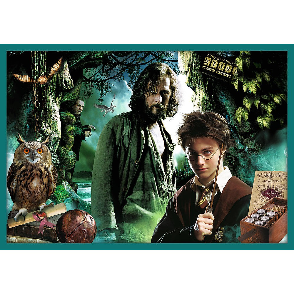 PUZZLE TREFL 10IN1 HARRY POTTER IN LUMEA LUI HARRY POTTER - Imagine 7 [ps:c5a4897c-c2f1-4bbf-82af-f04d22a75d5f]