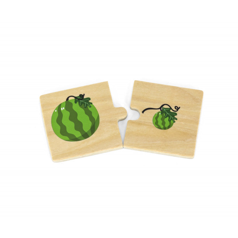Puzzle sortator Antonime, VIGA [ps:0ae5b1ae-a03f-48ec-a663-cf55516a73aa]