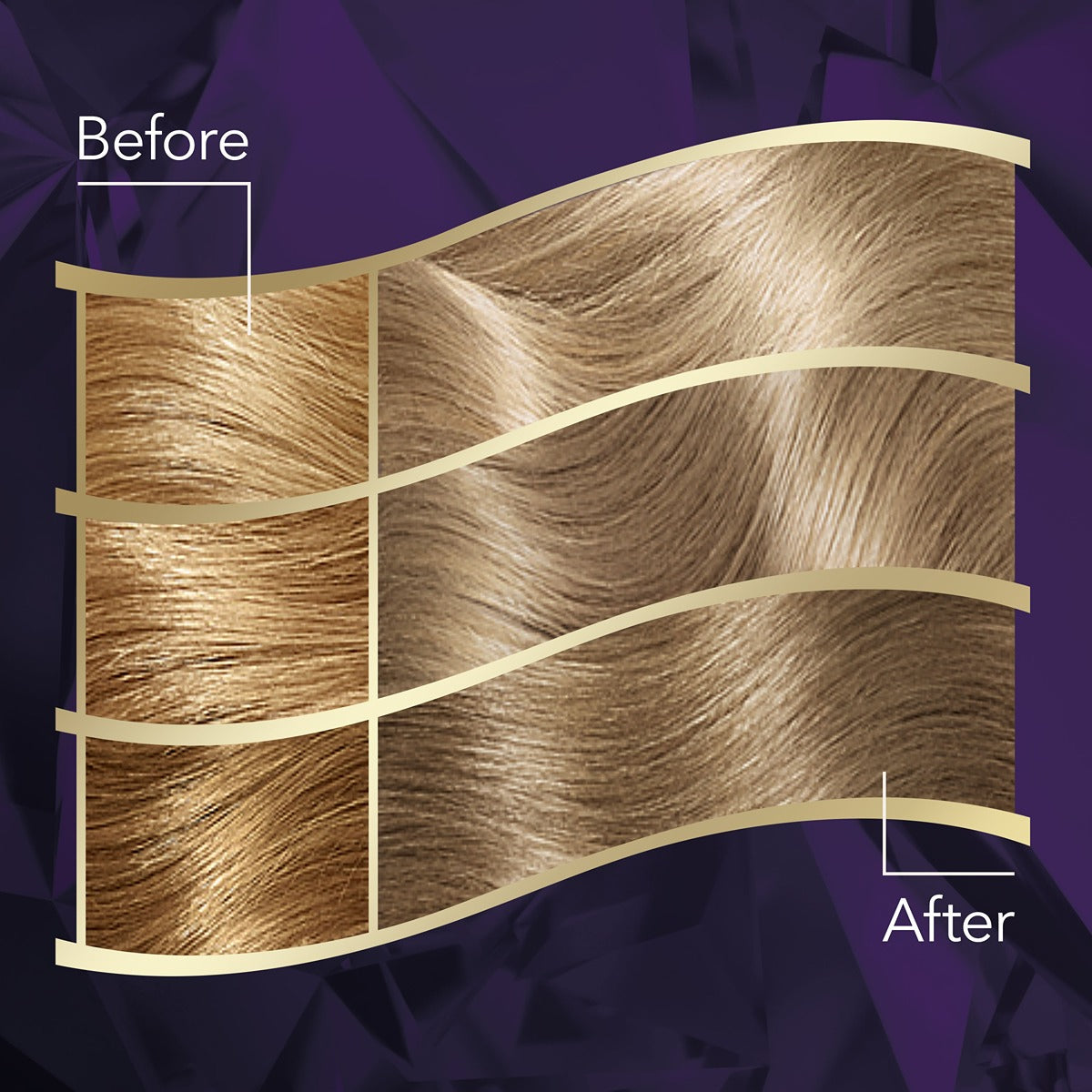WELLATON Intense, vopsea de par, nuanta blond cenusiu, nr 10/81 - 4 [ps:bf39fabf-ca51-44ad-8f88-3ea47257e9b5]