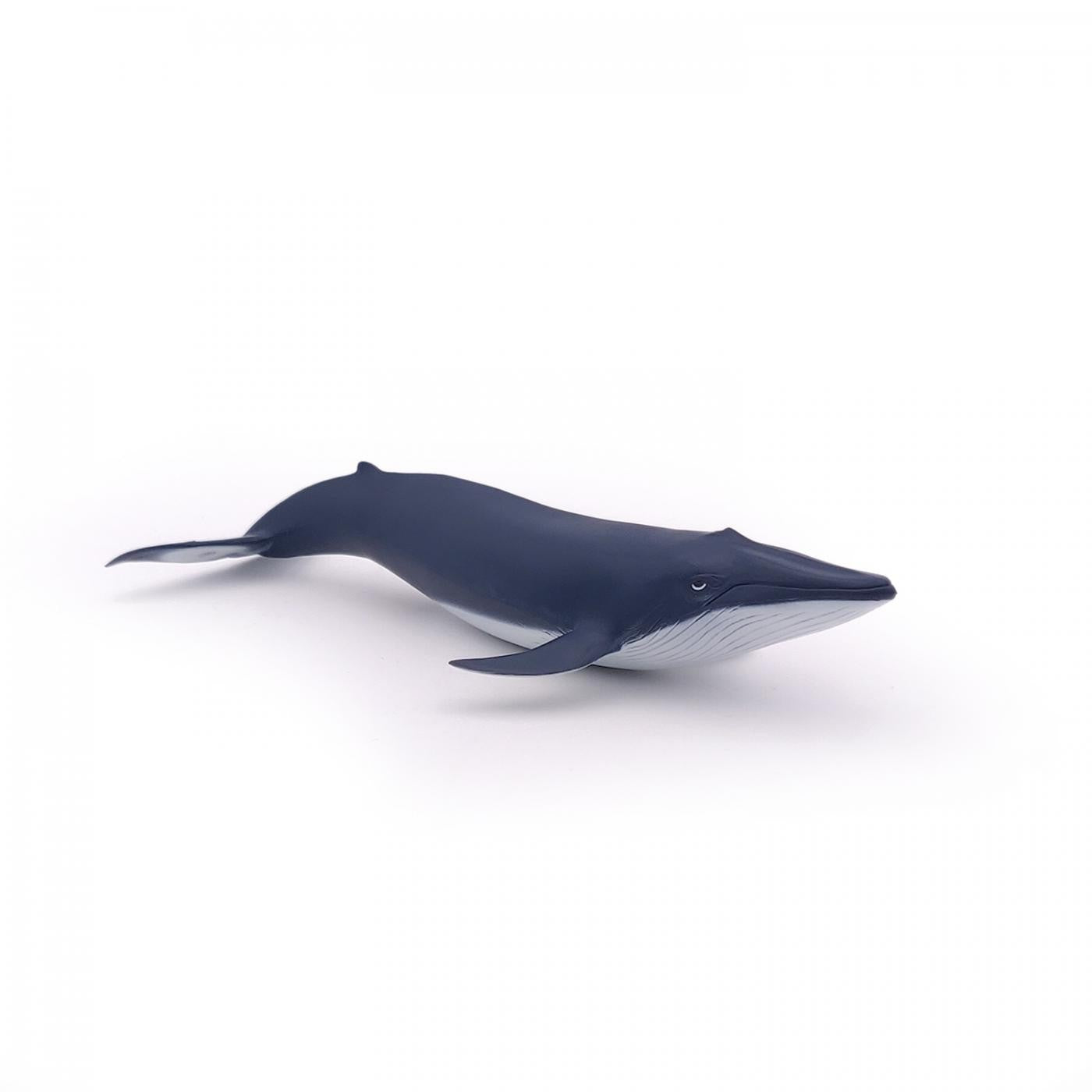 PAPO FIGURINA PUI DE BALENA ALBASTRA - Imagine 3 [ps:71573e6e-2c61-408c-b850-b418366b8b60]