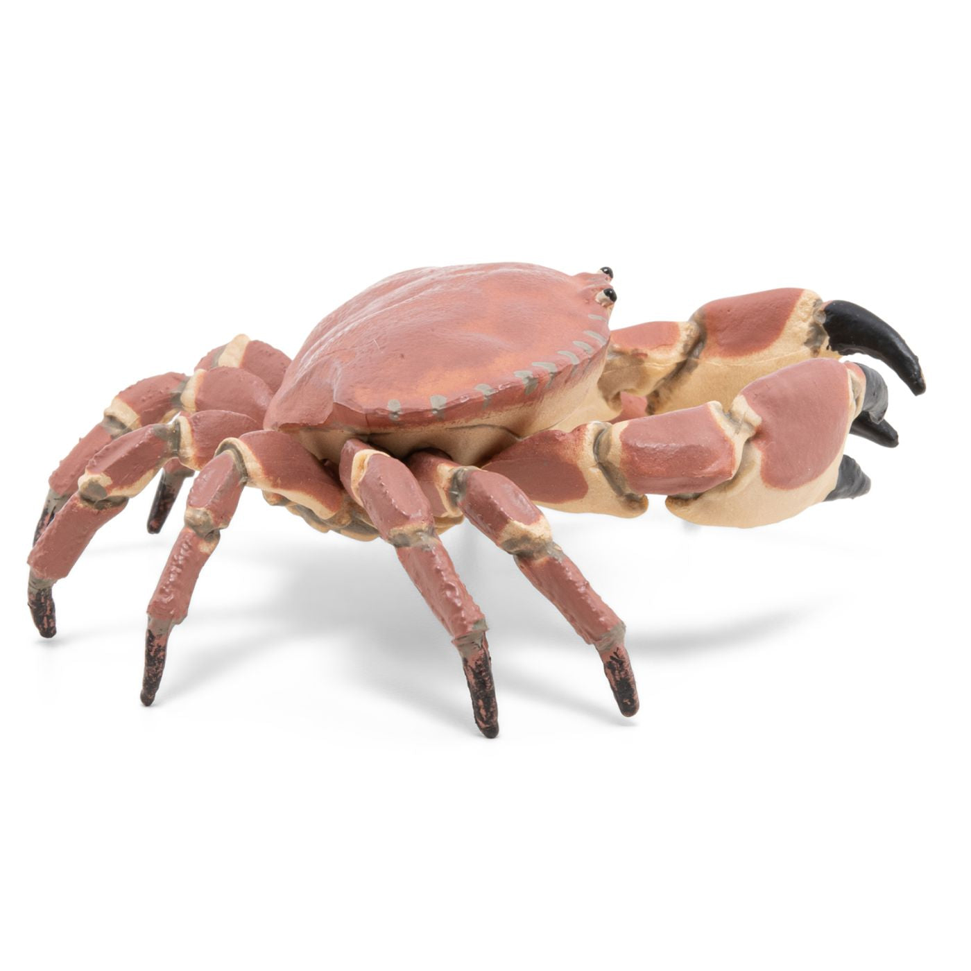 PAPO FIGURINA CRAB - Imagine 4 [ps:2e0427ed-2160-44fb-89c1-7b024add6e8d]