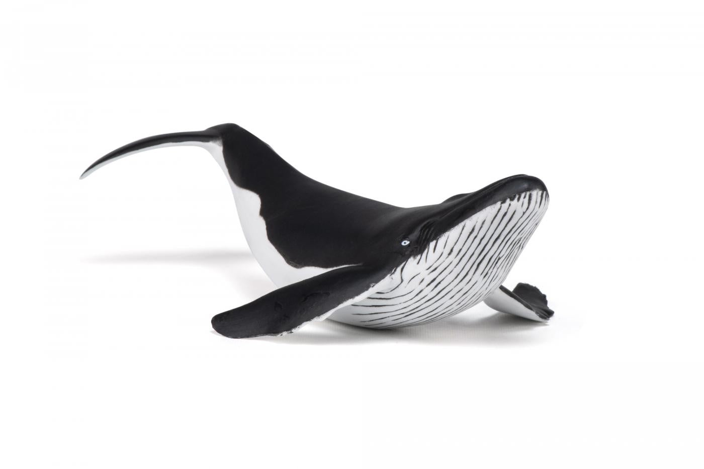 PAPO FIGURINA PUI DE BALENA - Imagine 5 [ps:6574c2cd-dfeb-4651-82c4-5d1070a00de8]