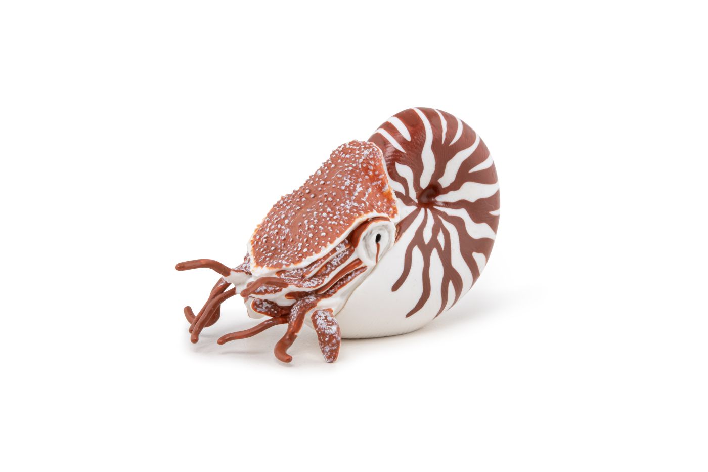 PAPO FIGURINA NAUTILUS - Imagine 4 [ps:20308da9-17bd-45fb-8487-2981902bfe78]