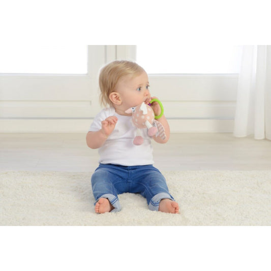 Papagalul Penelope, Jucarie senzoriala interactiva pentru bebelusi, Dolce [ps:ffbf20a7-3214-41ea-88fe-2cf905d4b158]